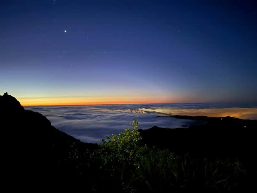 Funchal: Guided Sunrise Walk & Stairway to Heaven - Who Will Love This Tour?