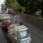 Funchal: Guided Tuk Tuk Tour to Toboggan Rides & Old Town - Why the Guides Make a Difference