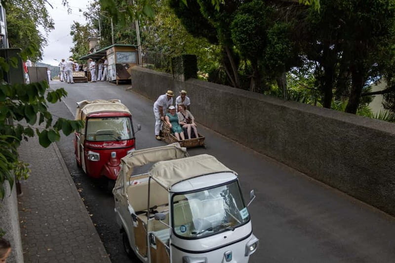 Funchal: Guided Tuk Tuk Tour to Toboggan Rides & Old Town - Why the Guides Make a Difference