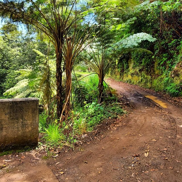 Funchal: Madeira Island 4x4 Private Customizable Tour - Exploring Madeiras Natural Wonders
