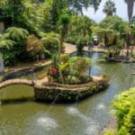 Funchal: Monte Palace Tropical Gardens Tuk Tuk Tour - Why Travelers Love This Tour