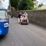 Funchal: Monte Tropical Garden & Toboggan Ride by Tuk Tuk - The Itinerary and What to Expect