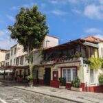 Funchal Old Town 1-Hour Tour by Tuk Tuk - Who Will Love This Tour?