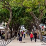Funchal: Old Town Walking Tour - What to Expect at Each Stop