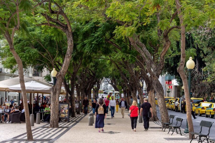 Funchal: Old Town Walking Tour - What to Expect at Each Stop