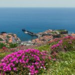 Funchal: Private Tuk-Tuk Tour to Cabo Girão Cliff - Skywalk - Practical Details and Tips