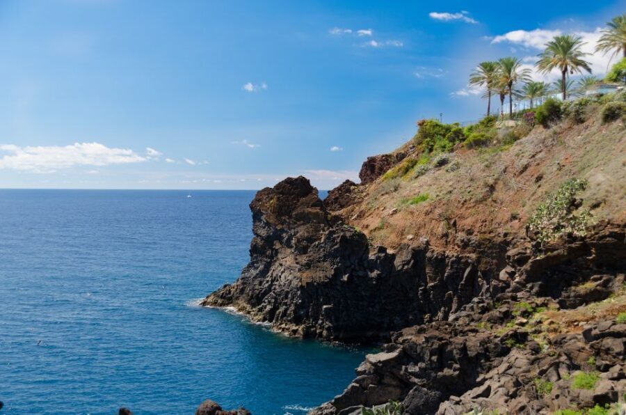 Funchal: Private Walking Tour with a Local - Final Thoughts