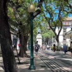 Funchal: Quick & Fun 30-Minute Tuk Tuk Tour with Local Guide - Why You’ll Love This Tour