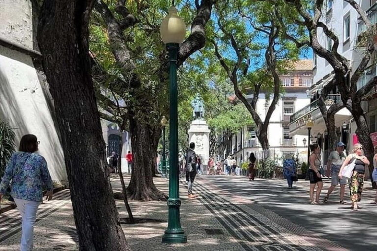 Funchal: Quick & Fun 30-Minute Tuk Tuk Tour with Local Guide - Why You’ll Love This Tour
