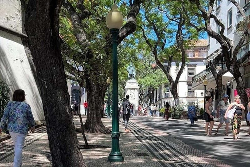 Funchal: Quick & Fun 30-Minute Tuk Tuk Tour with Local Guide - Why You’ll Love This Tour