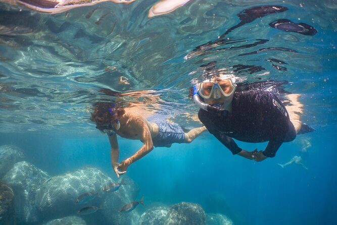 Funchal: Snorkeling Adventure in Eco-Park / Shore or by Boat - Who Will Love This Tour?