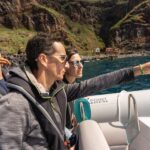 Funchal: Sunset over water by RIB boat +opt Dolphin/Whale - Practical Details and Value