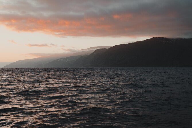 Funchal Sunset Sailing Private Tour - An In-Depth Look at the Funchal Sunset Sailing Tour