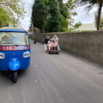 Funchal: Toboggan and Old Town Experience with Tukway - Possible Drawbacks or Considerations