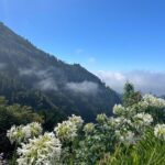 Funchal: Valley of the Nuns tour by tuk tuk - What Makes This Tour Stand Out?