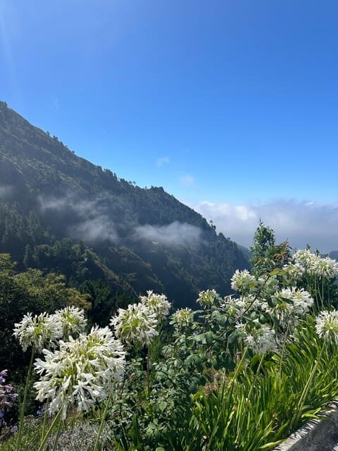 Funchal: Valley of the Nuns tour by tuk tuk - What Makes This Tour Stand Out?