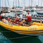 Funchal: Whale and Dolphin Watching Speed Boat Tour - Who Should Consider This Tour?