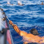 Funchal: Whale Watching and Swimming with Dolphins Cruise - What Makes This Tour Stand Out?