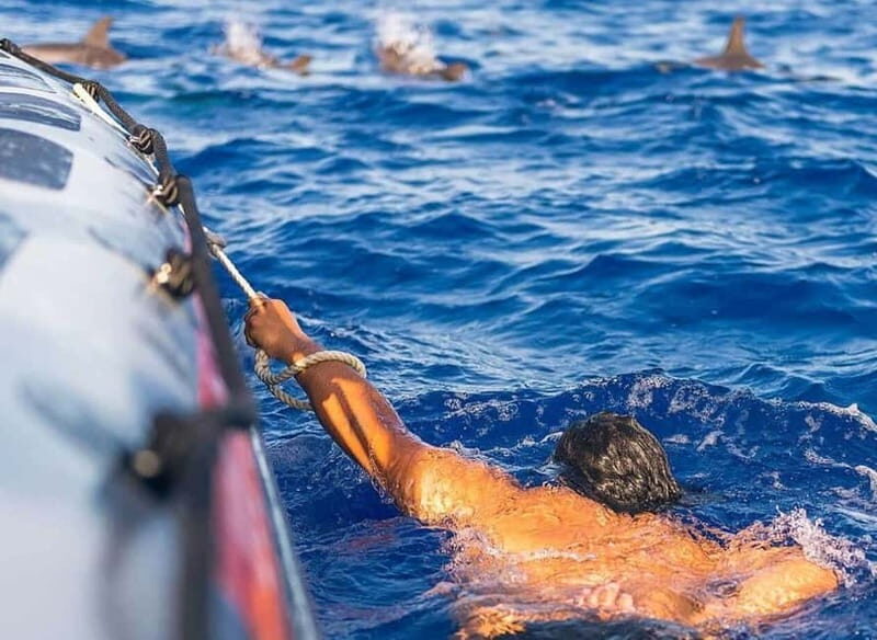 Funchal: Whale Watching and Swimming with Dolphins Cruise - What Makes This Tour Stand Out?
