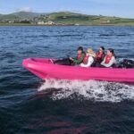 Funky Pink Self Drive Boats - Why this experience works