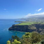 Furnas: Tea Plantation and Hot springs Tour - Frequently Asked Questions
