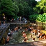 Furnas: Tea Plantations, Lake and Volcano Guided Tour - Relaxing at Terra Nostra Park