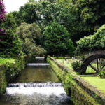 Furnas & Terra Nostra Gardens Biologist-guided Tour +lunch - A Deep Dive into the Tour Experience