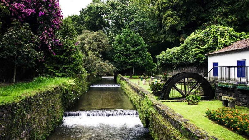 Furnas & Terra Nostra Gardens Biologist-guided Tour +lunch - A Deep Dive into the Tour Experience