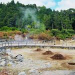 Furnas Volcano Experience  Nature, Hot Springs & Scenic Views - Final Thoughts