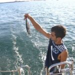 Fuzeta: 2.5-Hour Sport Fishing Tour - Who Would Enjoy This Tour?