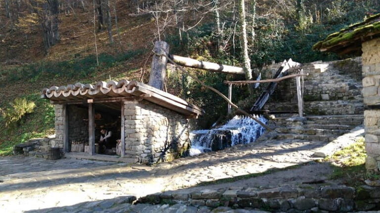 Gabrovo: Open Air Ethnographic Museum ETAR Entry Ticket - Who Should Visit?