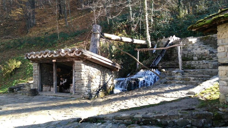 Gabrovo: Open Air Ethnographic Museum ETAR Entry Ticket - Who Should Visit?
