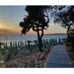 Gallipoli Full Day Private Tour: Coast, Beaches and Wineries - Authentic Experiences & Real Traveler Insights