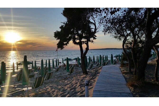Gallipoli Full Day Private Tour: Coast, Beaches and Wineries - Authentic Experiences & Real Traveler Insights