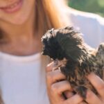 Gallura Picnic in the Farm with Animals - Who Will Love This Tour?