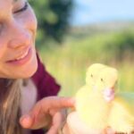 Gallura: Picnic on a Farm with Animals - An Honest Look at the Gallura Farm Picnic Experience