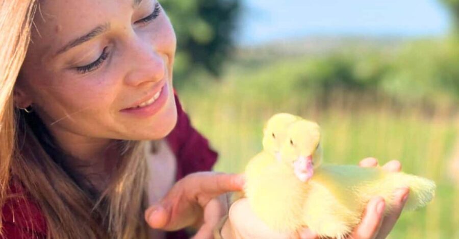 Gallura: Picnic on a Farm with Animals - An Honest Look at the Gallura Farm Picnic Experience