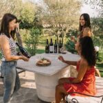 Gallura Winery with Wine Tasting in Olbia - The Sum Up