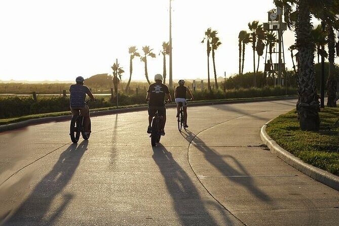 Galveston Island Art & Mural E-Bike Tour - Why This Tour Works Well for You