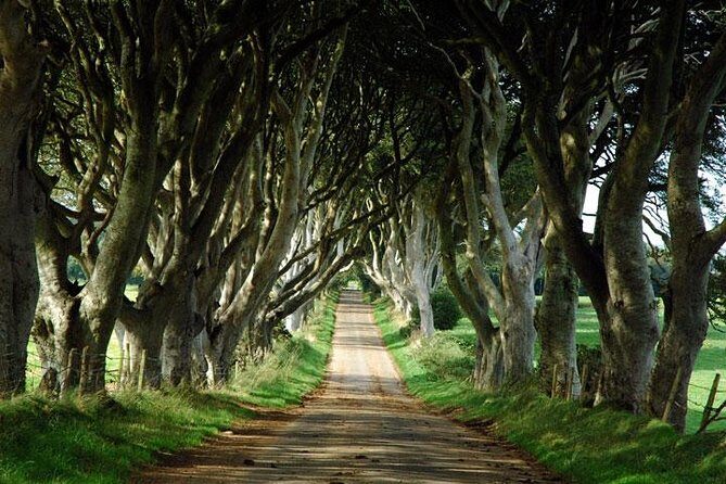 Game of Thrones and Giant's Causeway Day Tour from Belfast - Who Will Love This Tour?