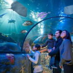 Gardaland Park and SEA LIFE: Fixed Dates Entry Ticket - Practical FAQs