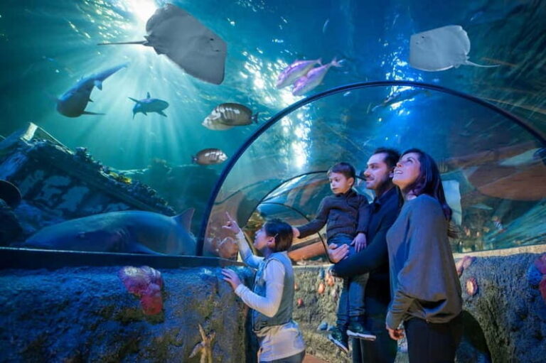 Gardaland Park and SEA LIFE: Fixed Dates Entry Ticket - Practical FAQs