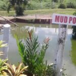 garden of the sleeping giant and mudpool tour combo - A Deep Dive into the Tour Experience