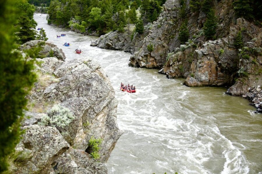 Gardiner: Yellowstone River Half-Day Whitewater Rafting - Who Should Consider This Experience