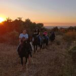 Gargano National Park: horseback riding - A Deep Dive into the Horseback Experience in Gargano National Park