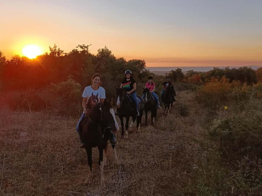 Gargano National Park: horseback riding - A Deep Dive into the Horseback Experience in Gargano National Park