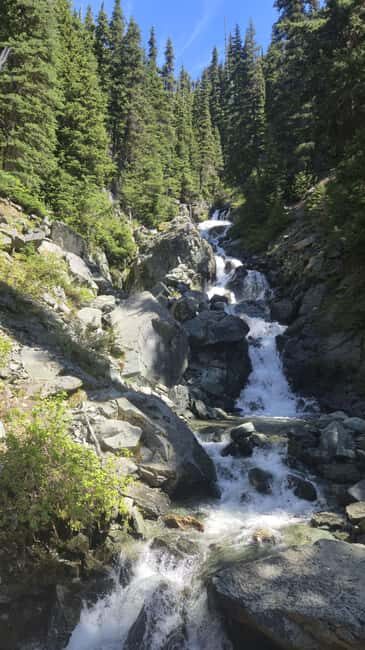 Garibaldi Park: Garibaldi Lake Hiking Tour - What Visitors Say
