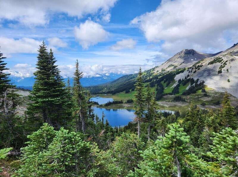 Garibaldi Park/ Panorama Ridge/ Hiking Day Trip - An In-Depth Look at the Garibaldi Park/ Panorama Ridge Day Trip