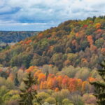 Gauja National Park Guided Hiking Tour - Why This Tour Offers Great Value