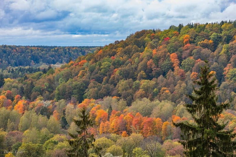 Gauja National Park Guided Hiking Tour - Why This Tour Offers Great Value